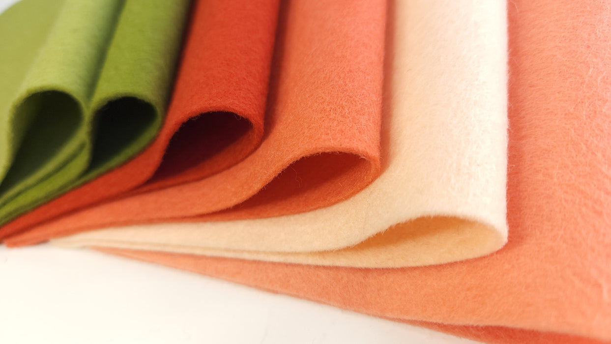 6 Sheet Bundle Terracotta and Sage Inspirations Wool Felt